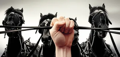 Illustration command - Image 1