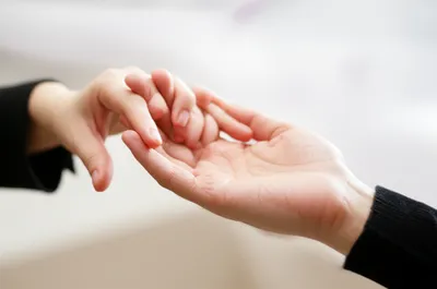 Illustration propose - Image 1