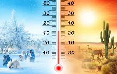 Illustration temperatures