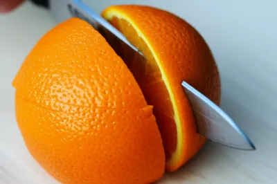 Illustration section - Image 1