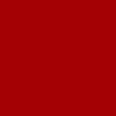 Illustration cardinal - Image 1