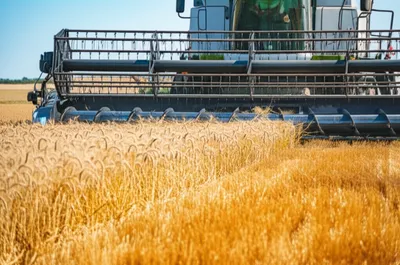 Illustration reel - Image 1