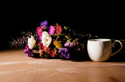 Illustration trays - Image 1