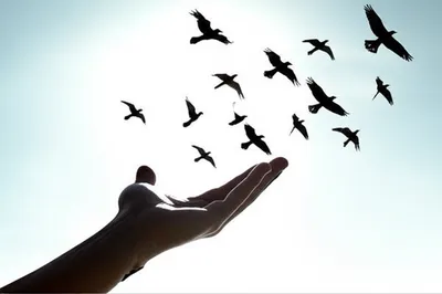 Illustration remitting - Image 1