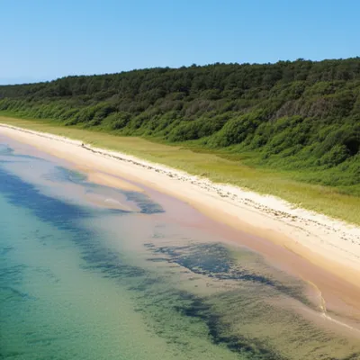 Illustration transgressions - Image 1