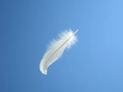 Illustration easing - Image 1