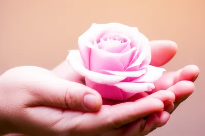 Illustration tender - Image 1