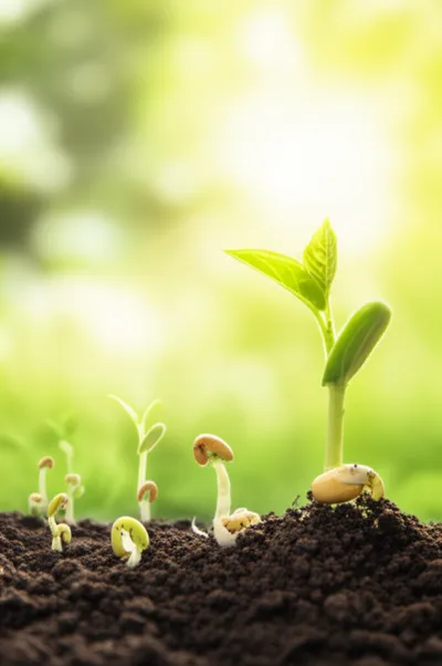 Illustration spawn - Image 1