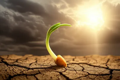 Illustration awoken - Image 1