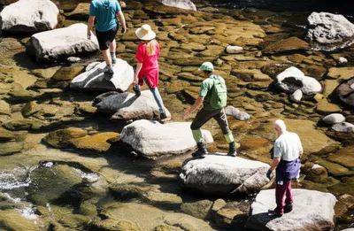 Illustration ford - Image 1