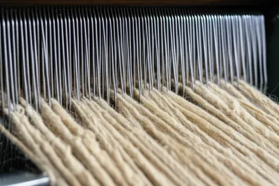 Illustration gill - Image 1