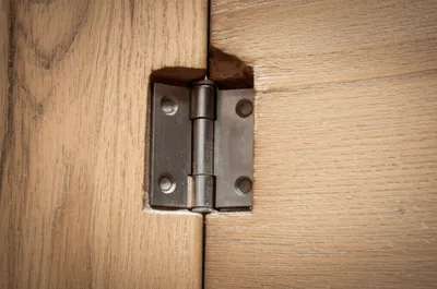 Illustration pan - Image 1