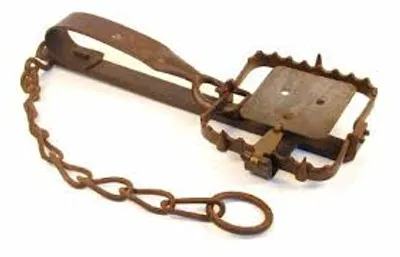 Illustration gin - Image 2