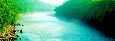 Illustration flowed - Image 1