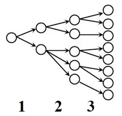 Illustration ply - Image 2