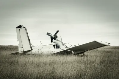 Hình ảnh minh họa pranged - Ảnh 1