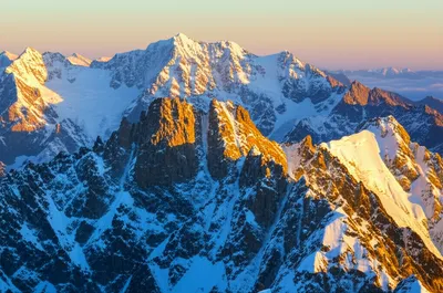 Illustration crests - Image 1