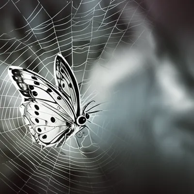 Illustration entangle - Image 1