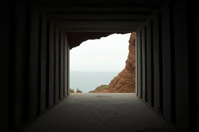 Illustration interior