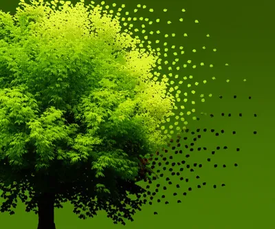 Illustration attenuated - Image 1