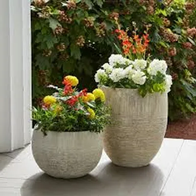 Illustration planter - Image 2