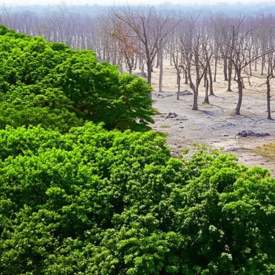 Illustration polluting - Image 1