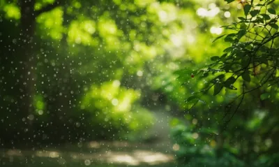 Illustration drizzle - Image 1