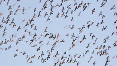 Hình ảnh minh họa secondary - Ảnh 1