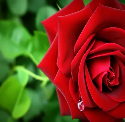 Illustration start - Image 1