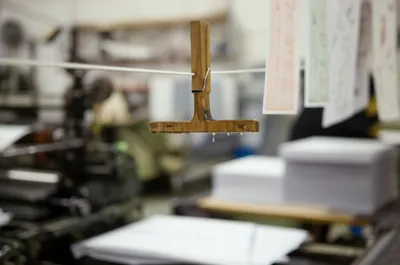 Illustration peel - Image 1