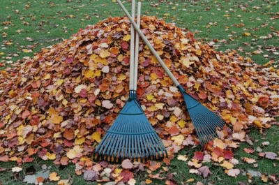 Illustration heaps - Image 1