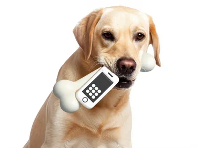 Illustration dags - Image 1