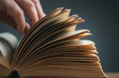 Illustration thumbs - Image 1