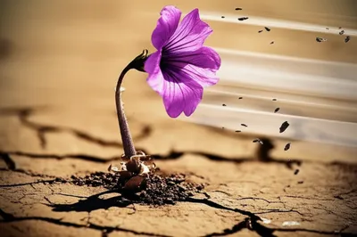 Illustration arrested - Image 1