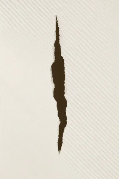 Hình ảnh minh họa rip - Ảnh 1