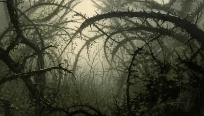 Illustration brakes - Image 1