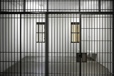 Illustration cell - Image 1