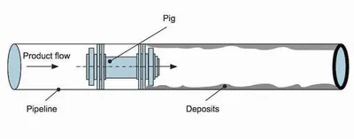 Illustration pig - Image 2