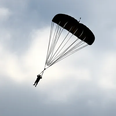 Illustration ejected - Image 1