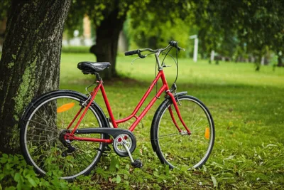 Illustration stopped - Image 1