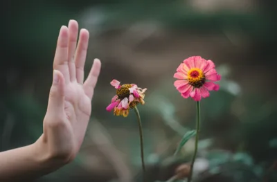 Illustration slighting - Image 1