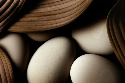 Illustration dark - Image 1