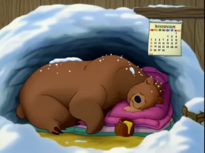 Illustration hibernating