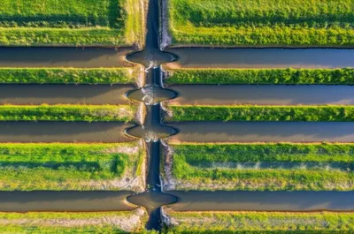 Illustration panes - Image 1