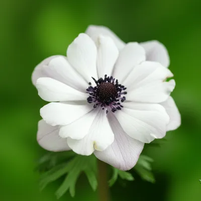 Illustration single - Image 1