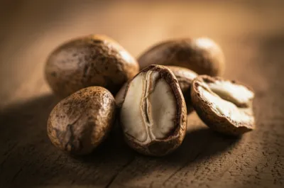 Illustration kola - Image 1