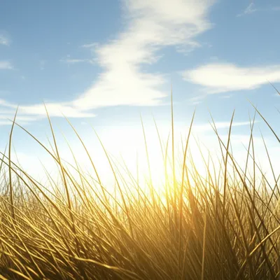 Illustration atmosphere - Image 1