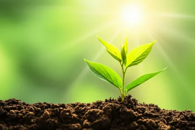 Illustration good - Image 1