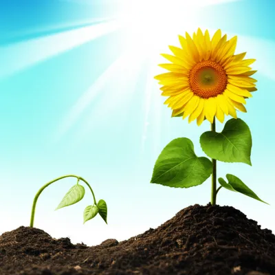 Illustration make - Image 1