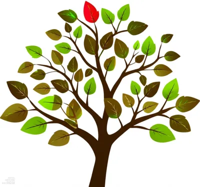 Illustration splay - Image 1